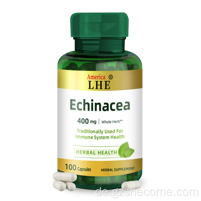 Echinacea -Supplement für die Gesundheit des Immunsystems